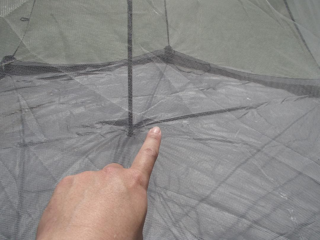 DOD ワンポールテントM 5人用 フタマタノキワミ