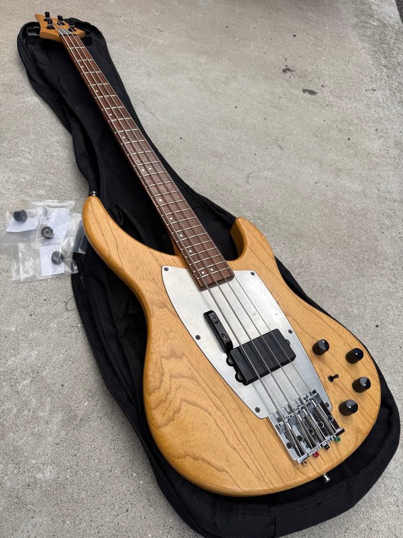 SELVA Ignite Bass ／ セルバ・イグナイト・ベース