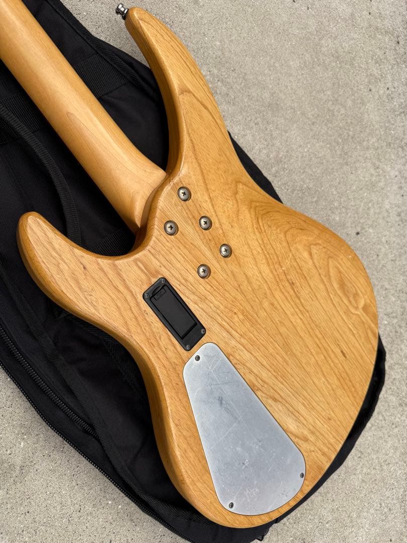 SELVA Ignite Bass ／ セルバ・イグナイト・ベース