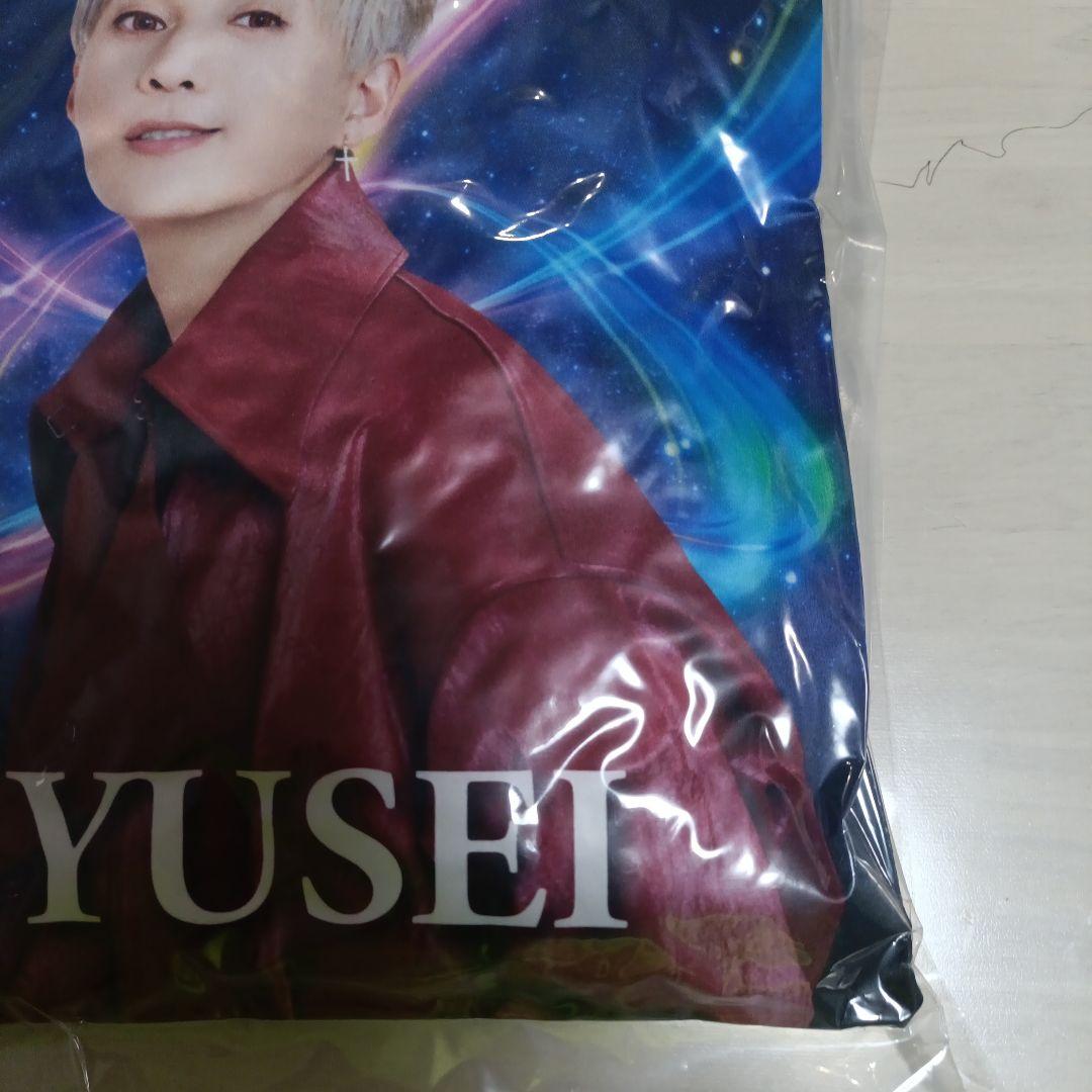 八木勇征BUTTERFLY EFFECT クッション　FANTASTICS最安値