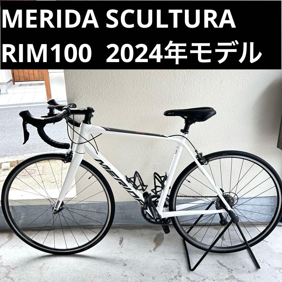 専用中　購入不可　RIM100 2024 540サイズ