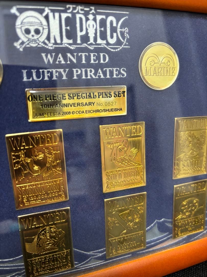 ONE PIECE 10周年1000個限定 シリアルナンバー入りピンズセット