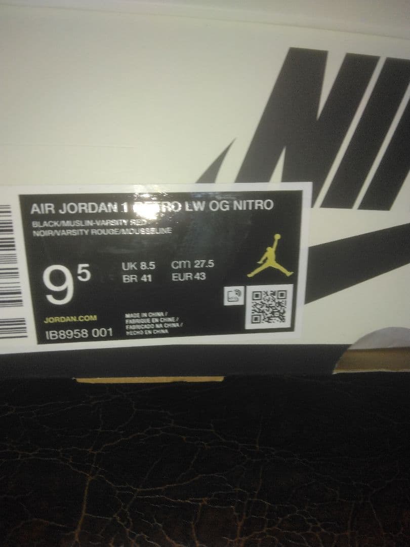 Nigel Sylvester Nike Air Jordan 1 27.5㎝