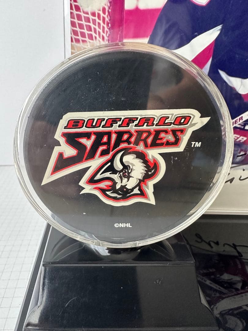 アイスホッケー　ドミニク・ハシェックサイン入り写真スタンド