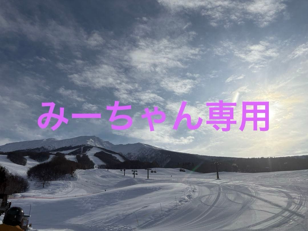 みーちゃん専用　お米10キロ2袋