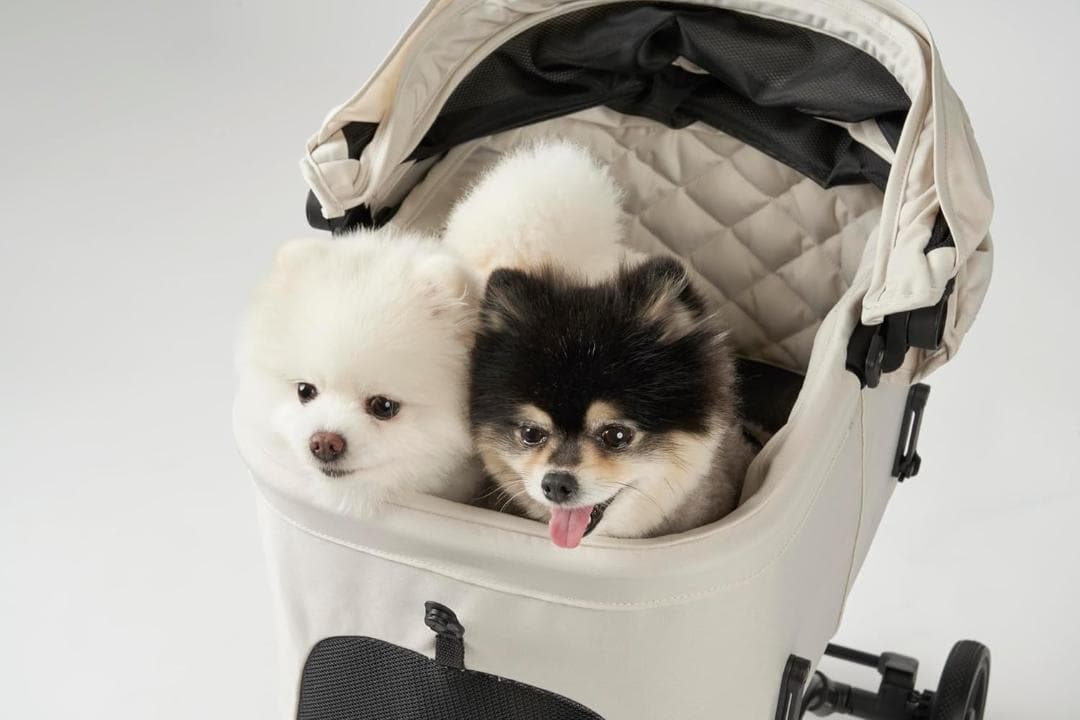 ★*★様 AIRBUGGY wizX ペットカート チェリーピンク エアバギー