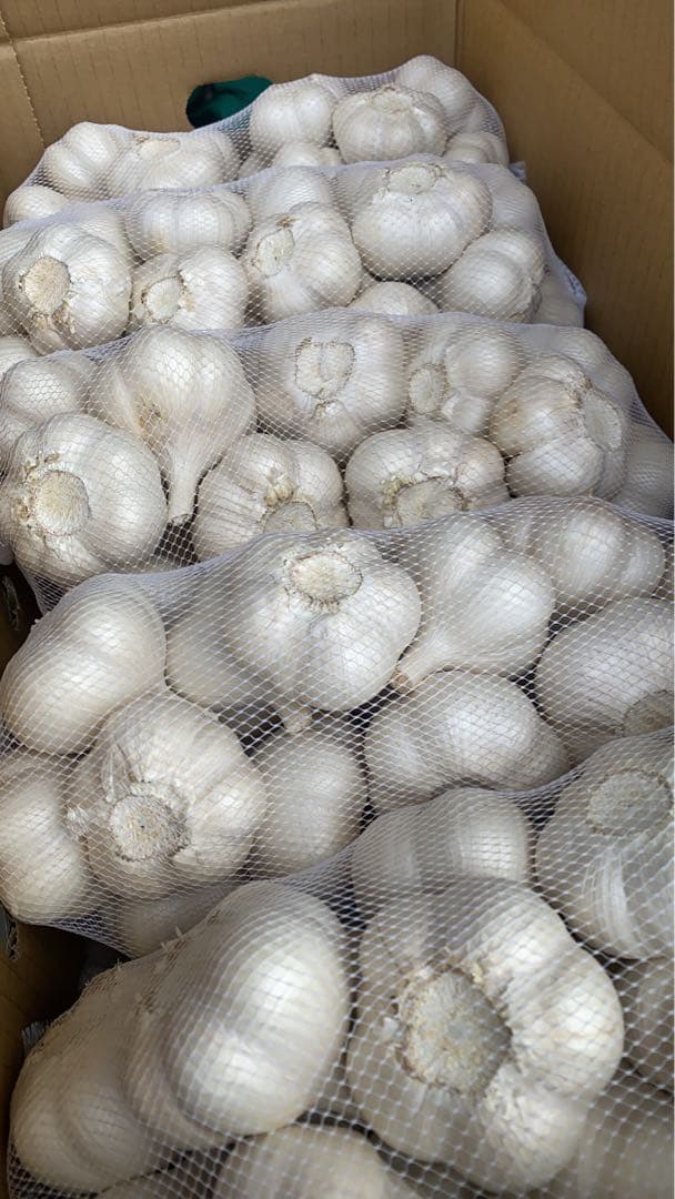 新物　青森県にんにく5Kg2L良品