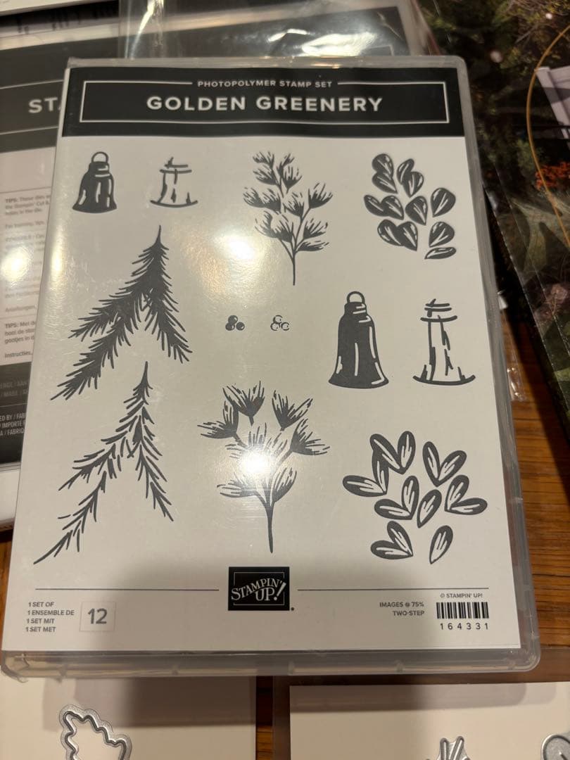 未使用　葉が素敵なスタンプ&ダイセット　スタンピンアップ