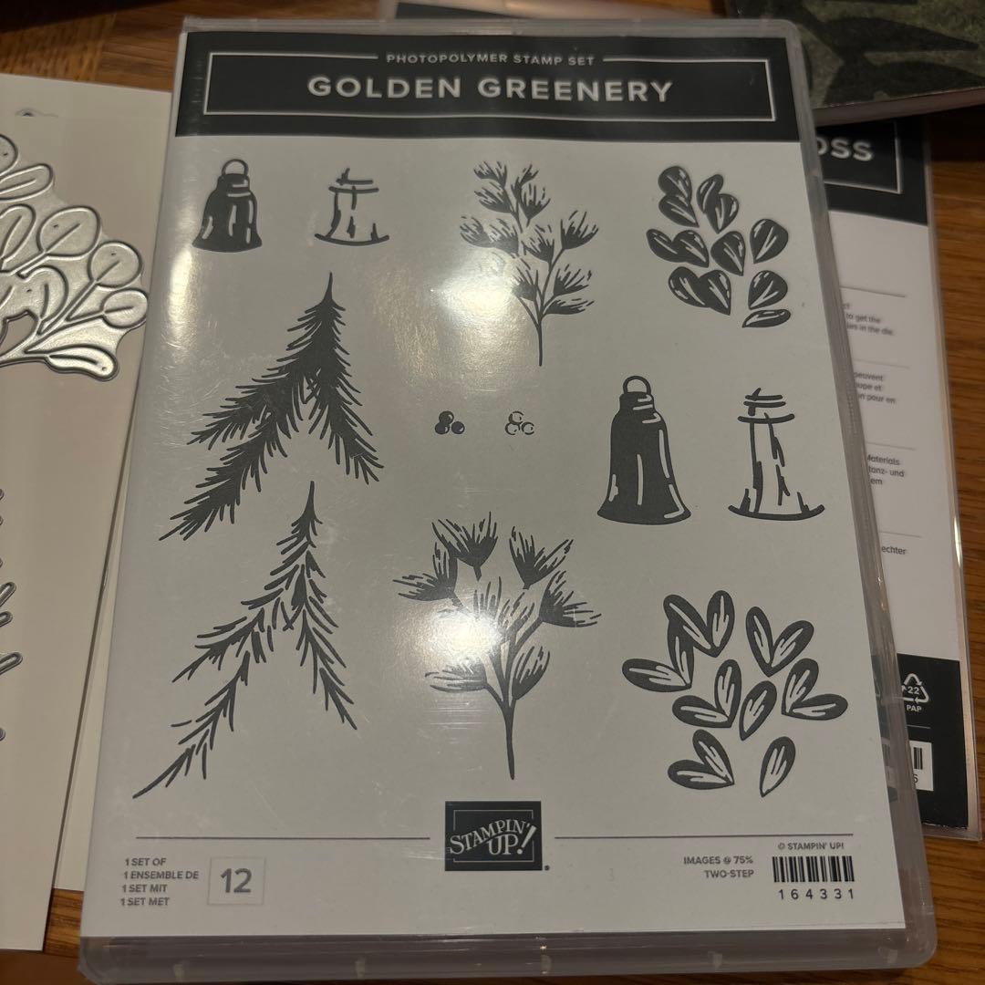 未使用　葉が素敵なスタンプ&ダイセット　スタンピンアップ