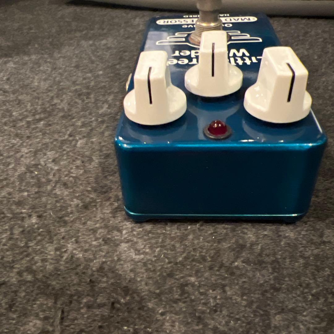 RITAO CHAN様　LITTLE GREEN WONDER