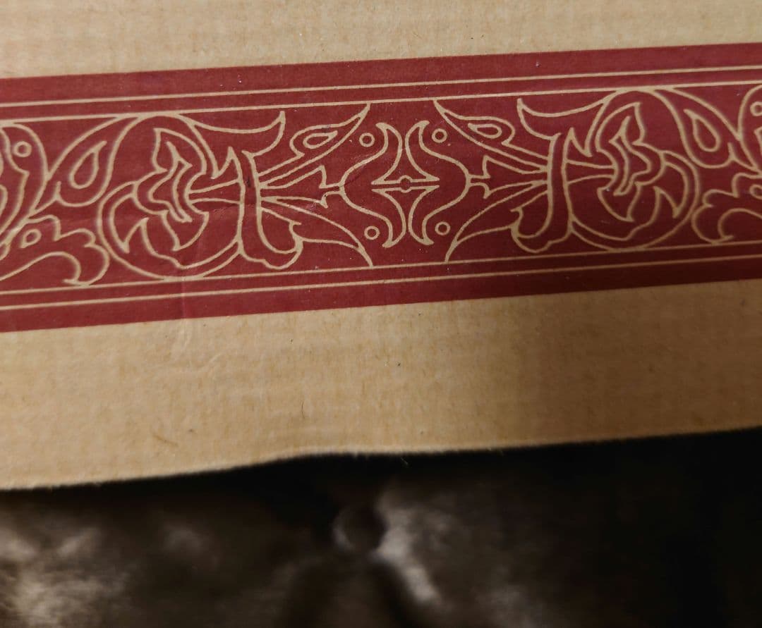 ショタイフ　エキシビションベアⅡ