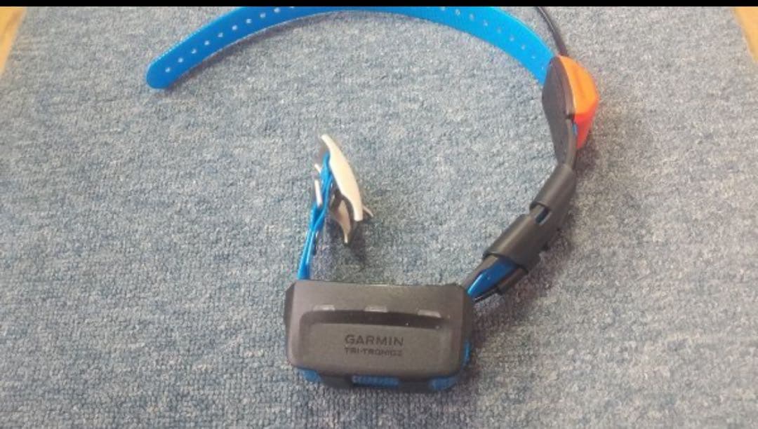 ハチマリ Garmin T 5X Dog Device