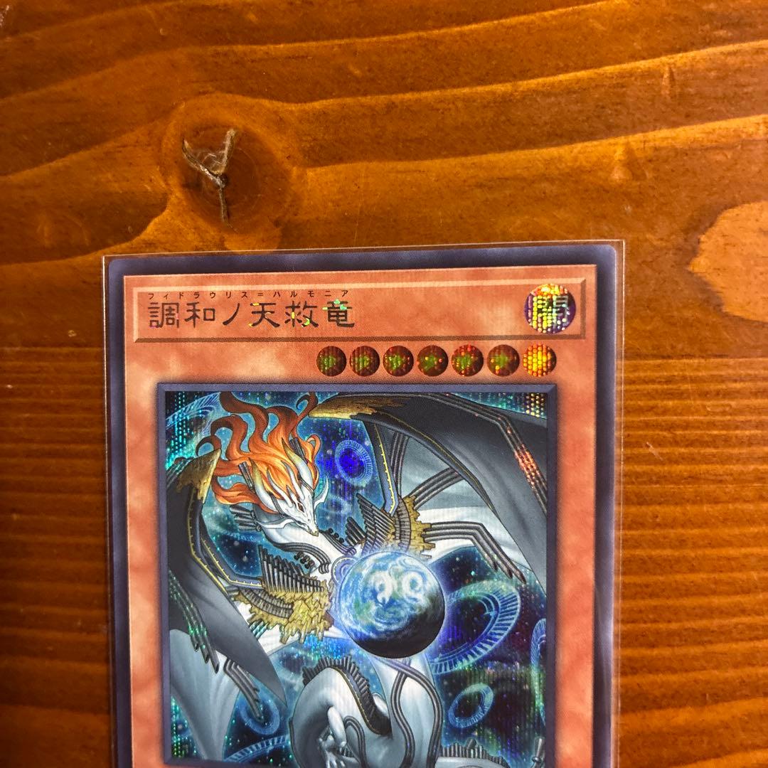 調和ノ天救竜 ハルモニア シークレット