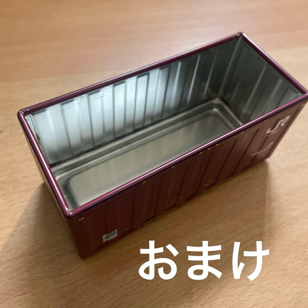 爬虫類飼育セット 中型