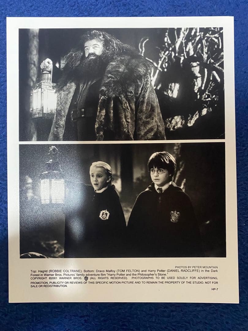ハリーポッター　賢者の石　映画スチール写真5枚セット