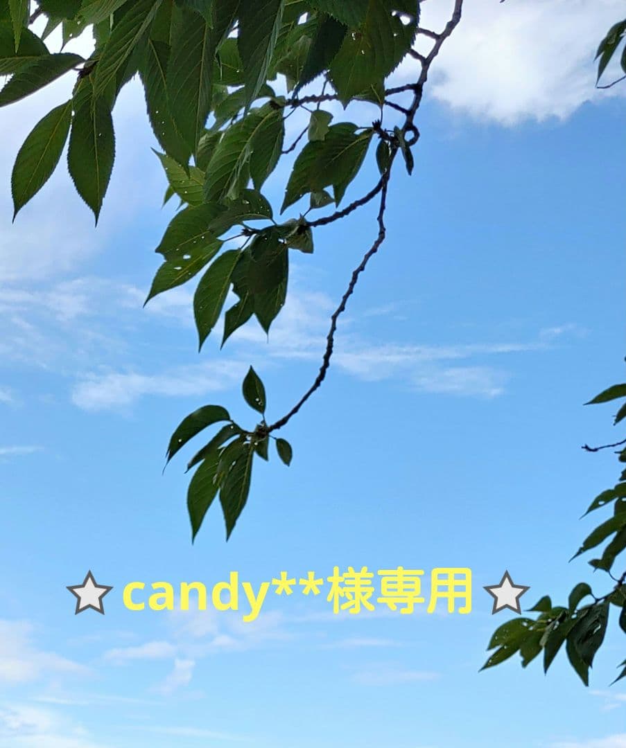 candy**プロフ必読願います商品⭐