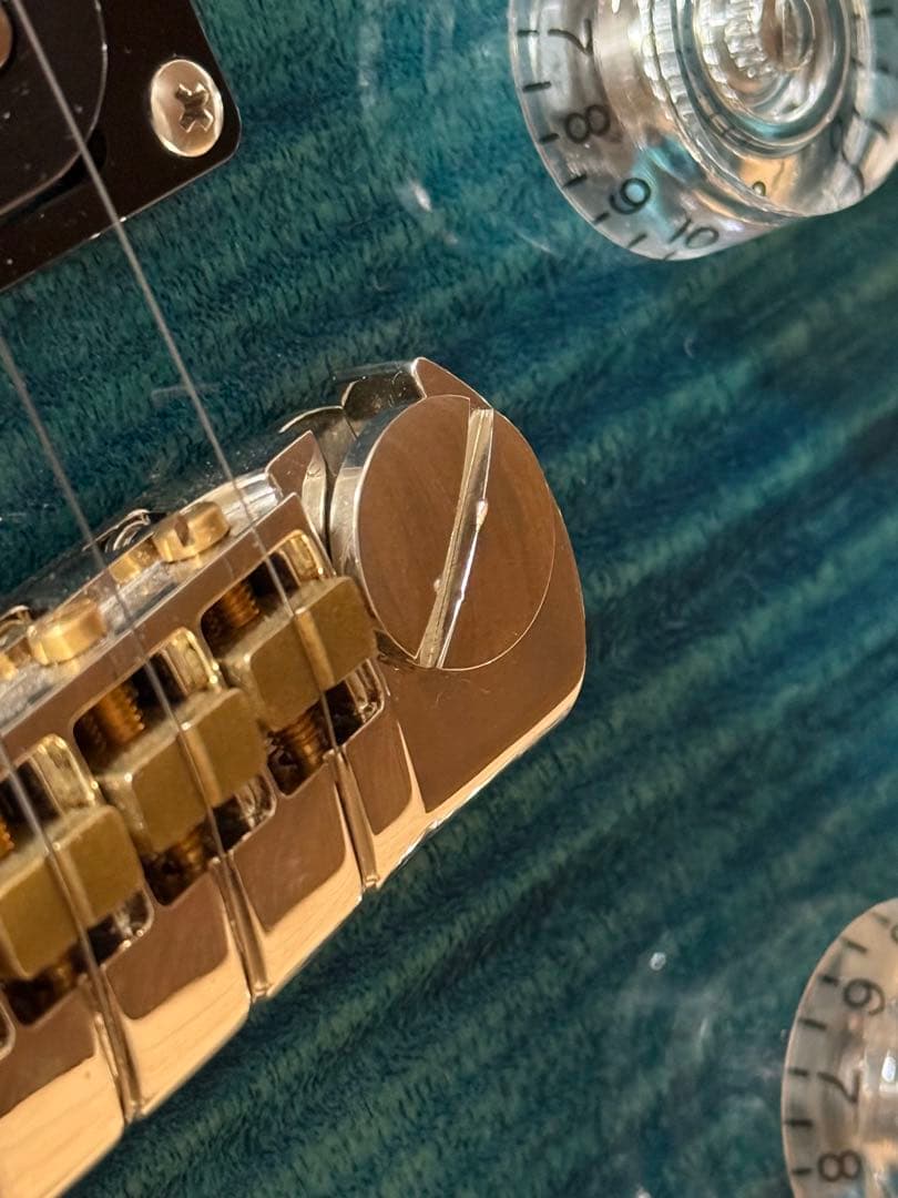 Zach Myers PRS SE ザックマイヤー　2024年モデル