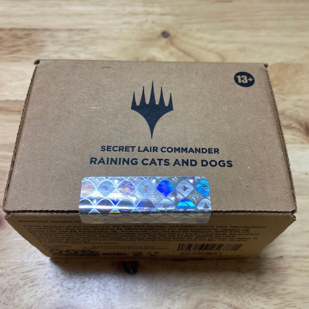 MTG Raining Cats and Dogs 1個