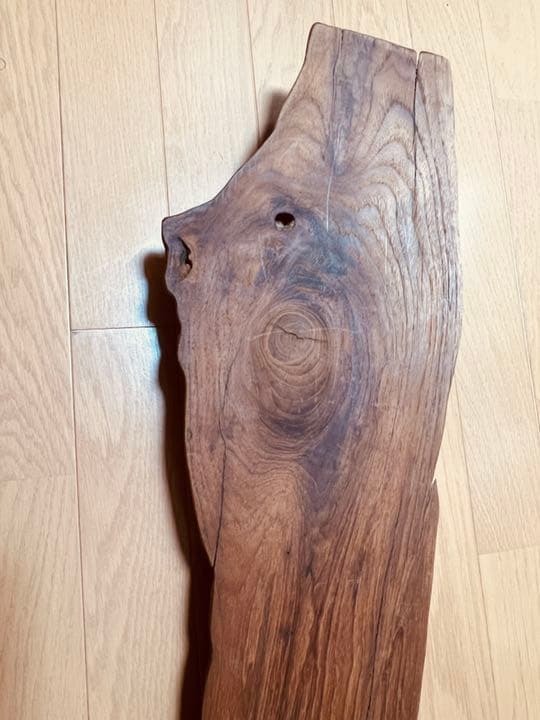 装飾用最高級流木★マングローブ系プレミアム