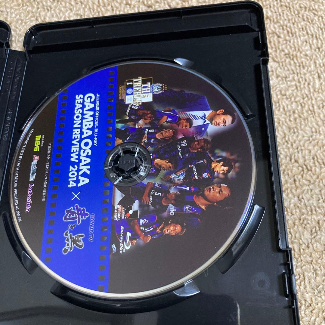 ガンバ大阪　シーズンレビュー　2014