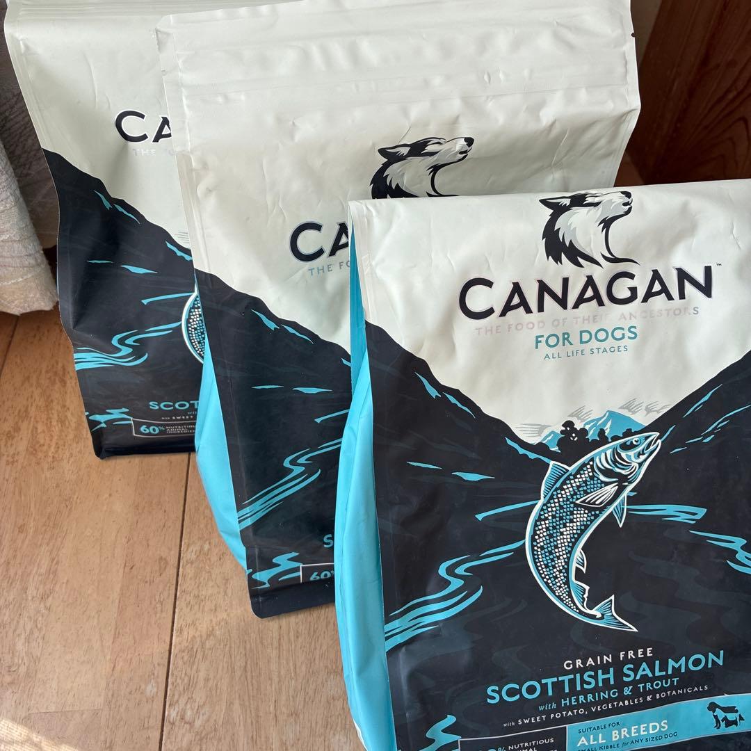 CANAGAN ドッグフード サーモン 2kg✖️3袋　　②