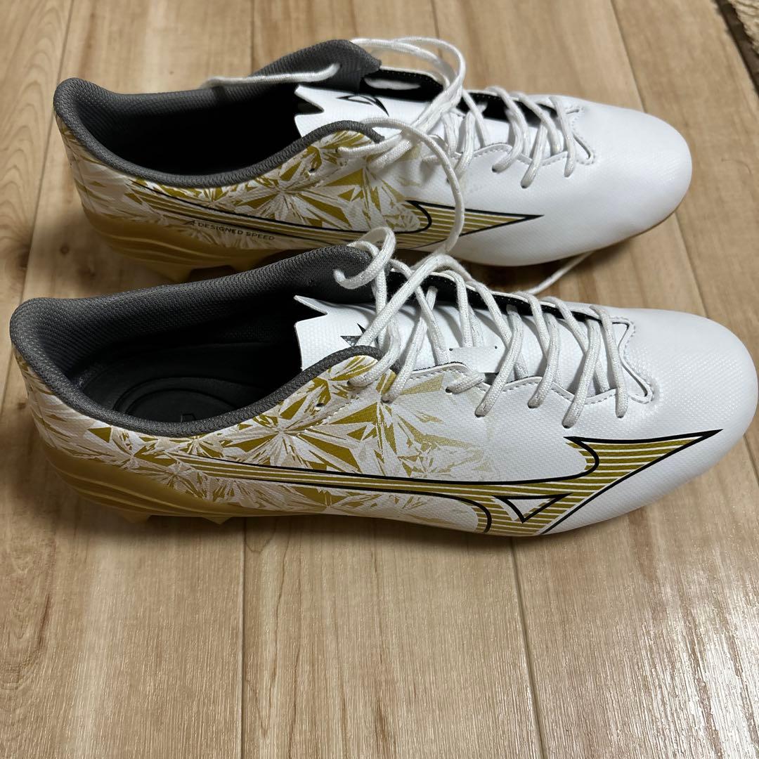 フットサルシューズ
人工芝対応用です。