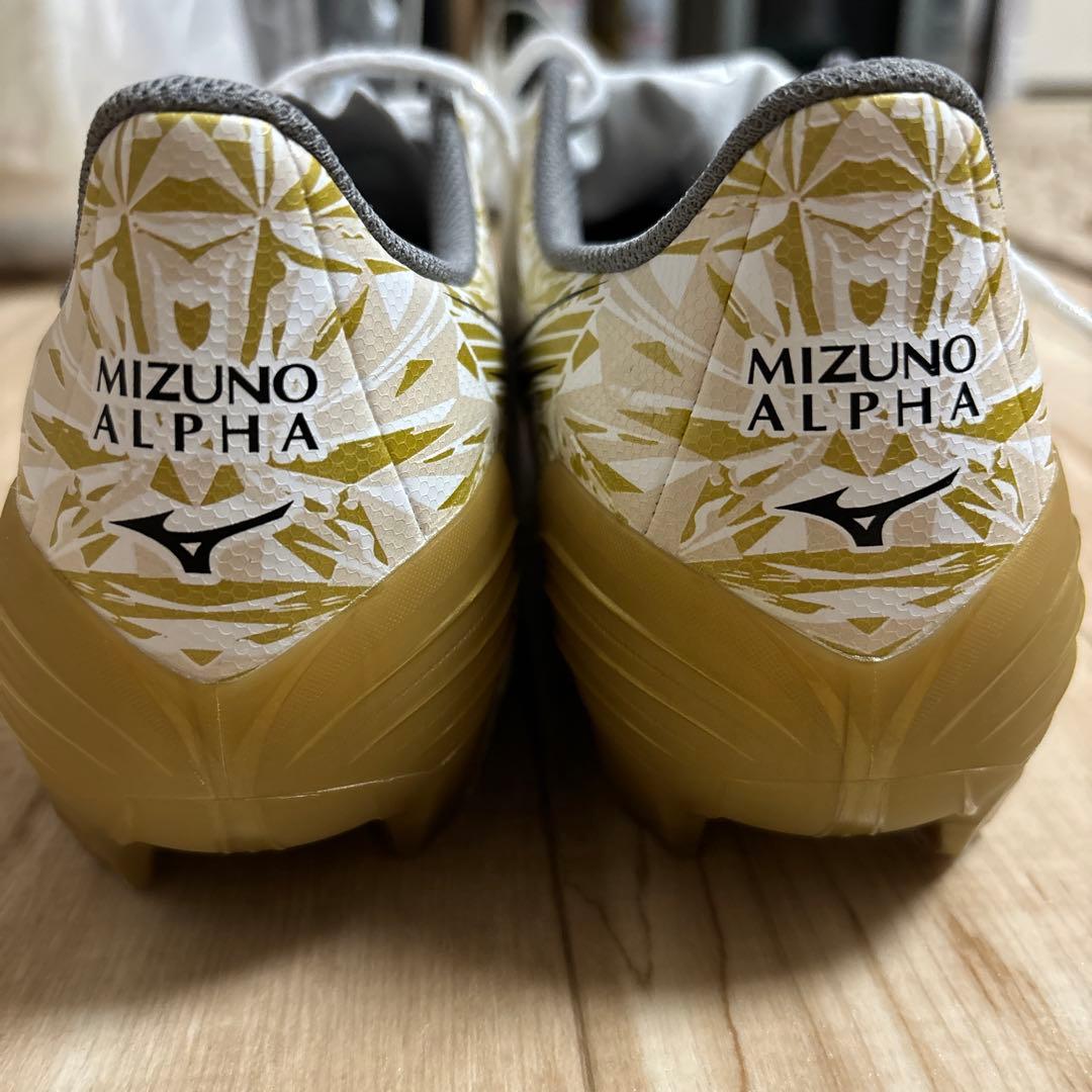 フットサルシューズ
人工芝対応用です。