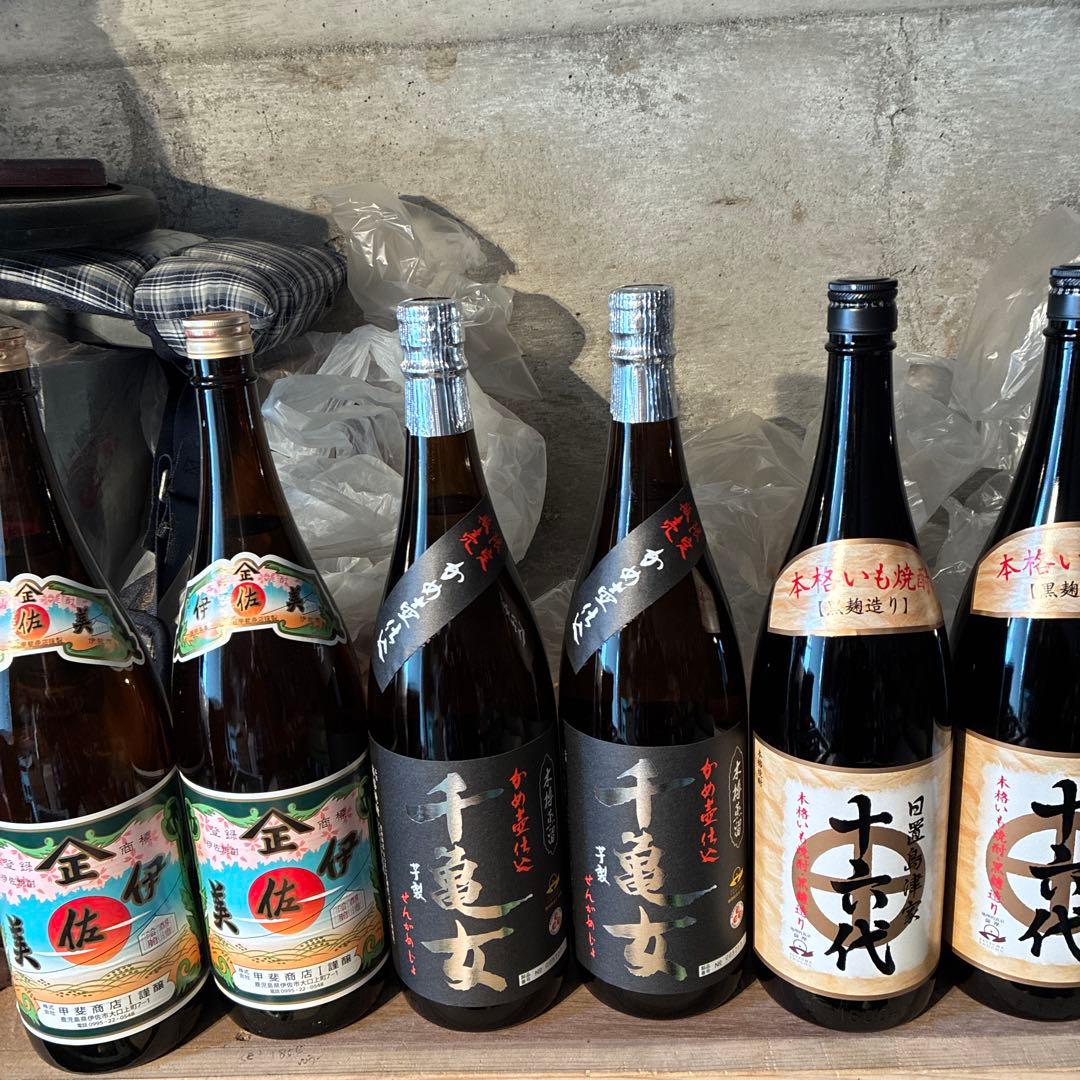 伊佐美2本　千亀女2本 島津家十六代2本