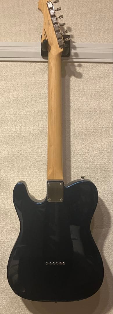 ギター FGN FUJIGEN NTL10RAL OLP