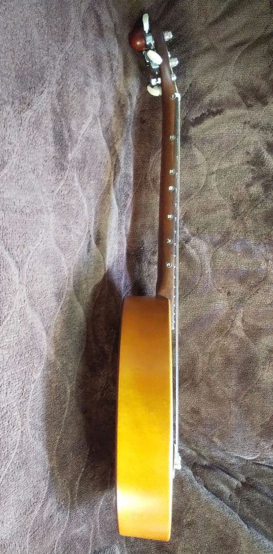 楽器　一五一会　奏生　DVD付き