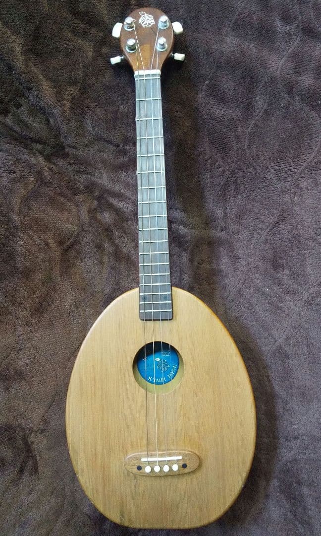 楽器　一五一会　奏生　DVD付き