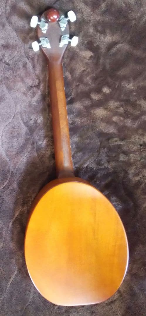 楽器　一五一会　奏生　DVD付き