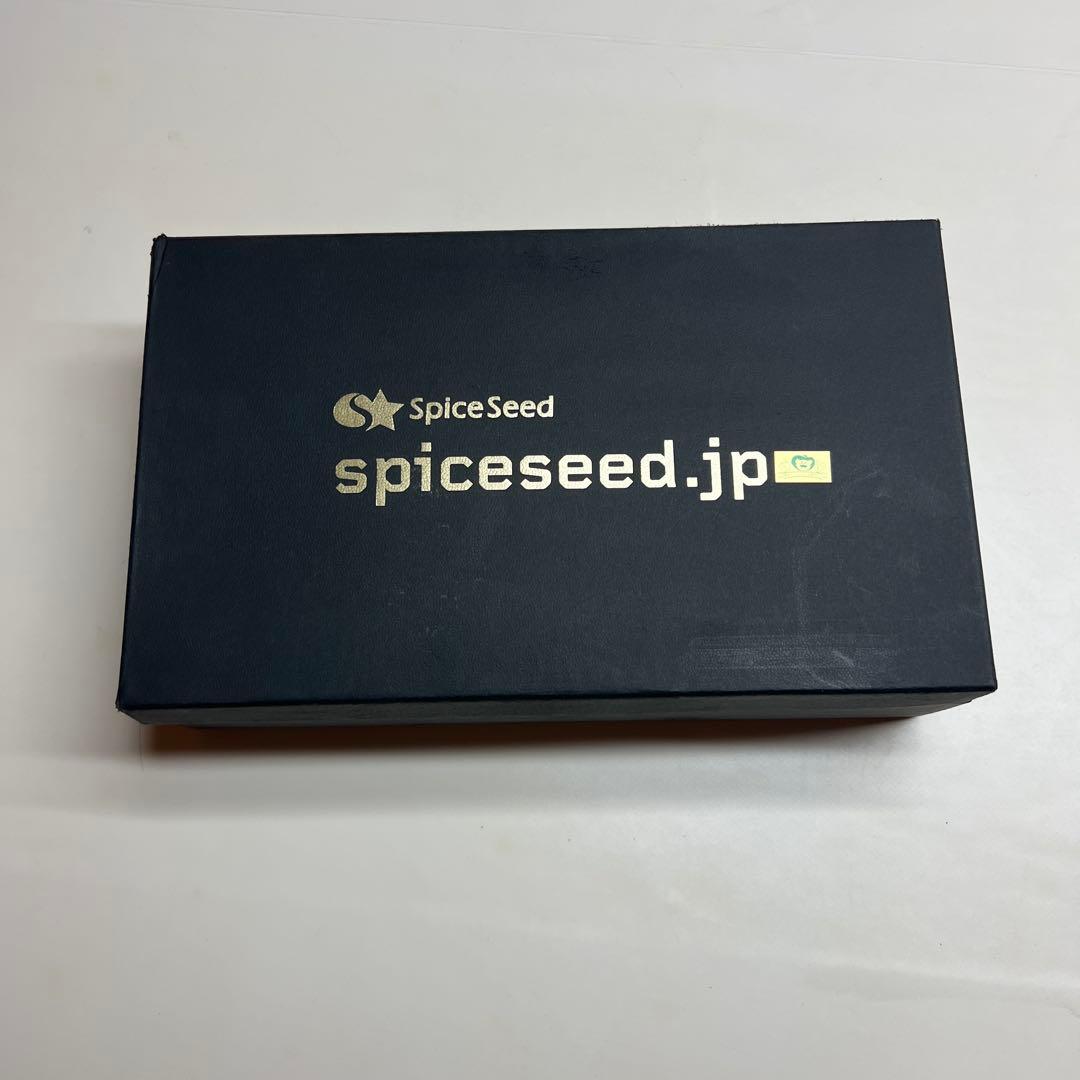 ※値下不可　スパイスシード　アシュラマン　レジン