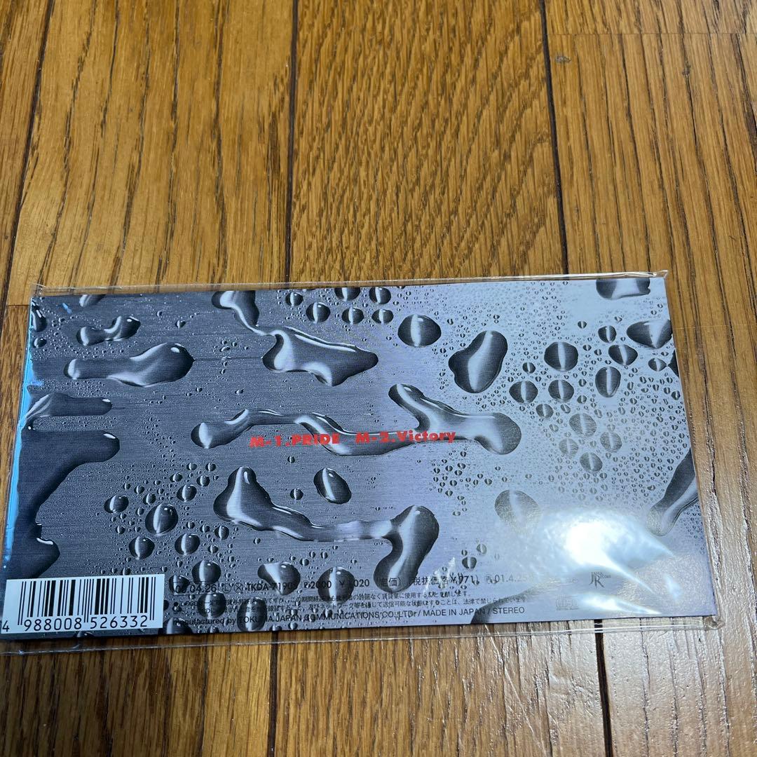 桜庭和志フィギュア、PRIDE パンフレット、CD