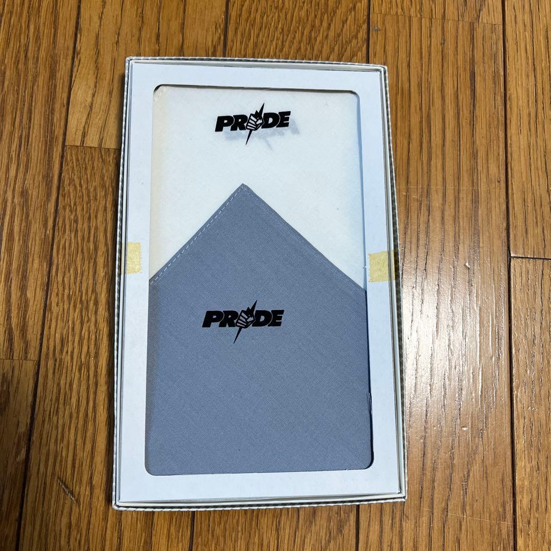 桜庭和志フィギュア、PRIDE パンフレット、CD