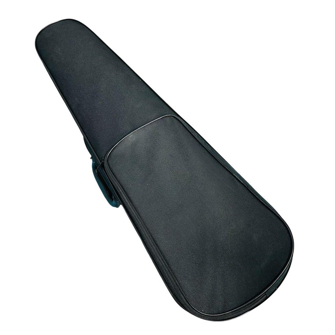 Hallstatt エレクトリックバイオリン　CV-210E