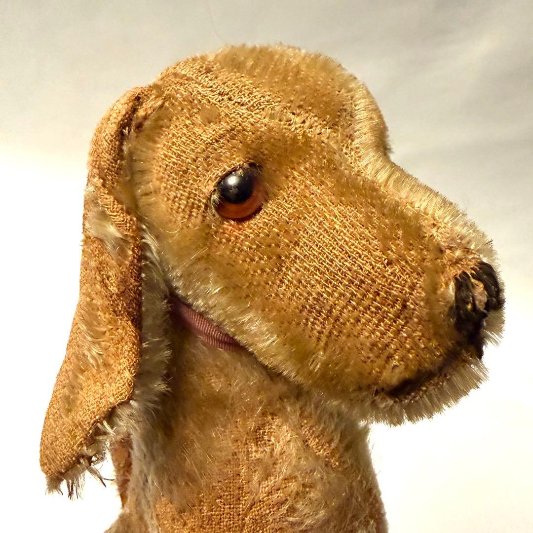 Steiffシュタイフ \"DOG\"（小）100年経ったアンティークのぬいぐるみ