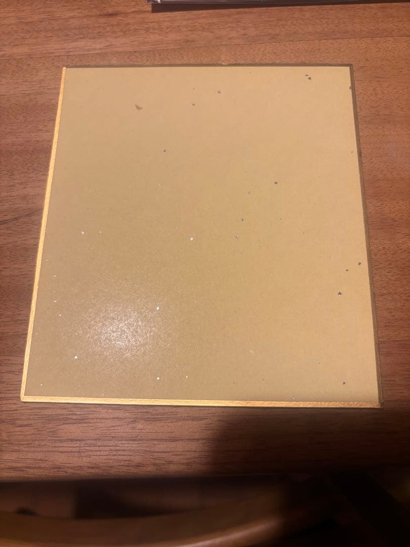 秋*ん様 ガンダムW エンドレスワルツ　２枚セット　ヒイロ、デュオ