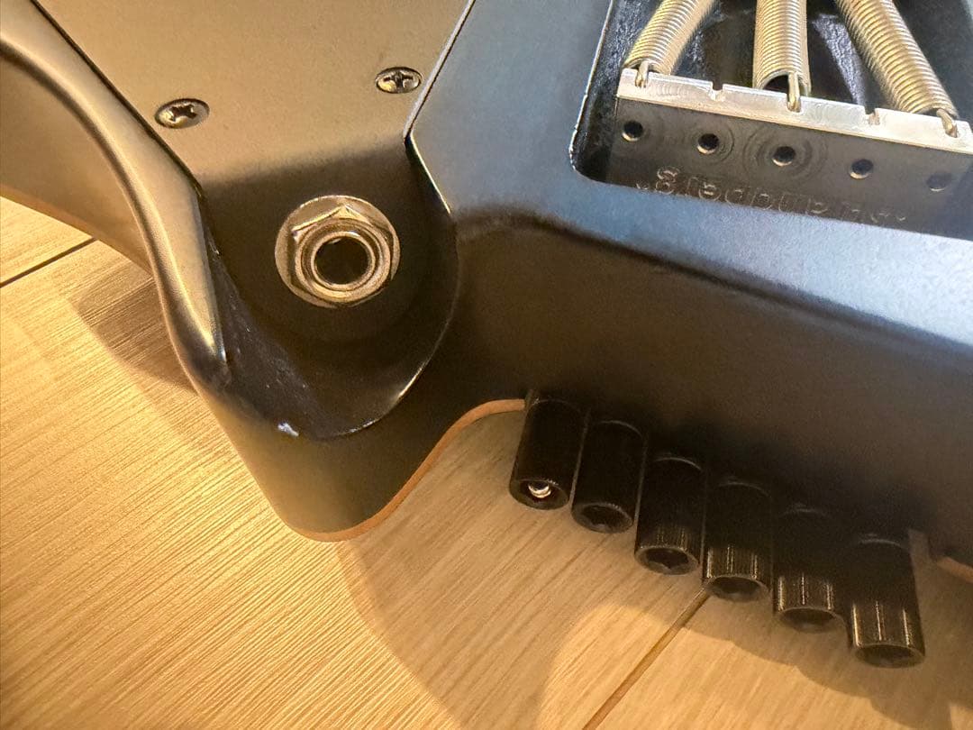 ギター strandberg boden standard 6 trem