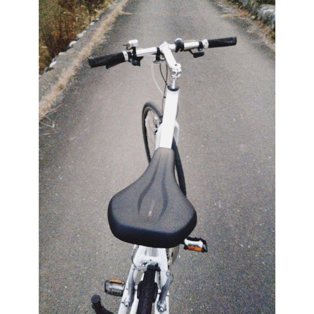 GIANT 　 ジャイアント 　ESCAPE 　クロスバイク 　エスケープ