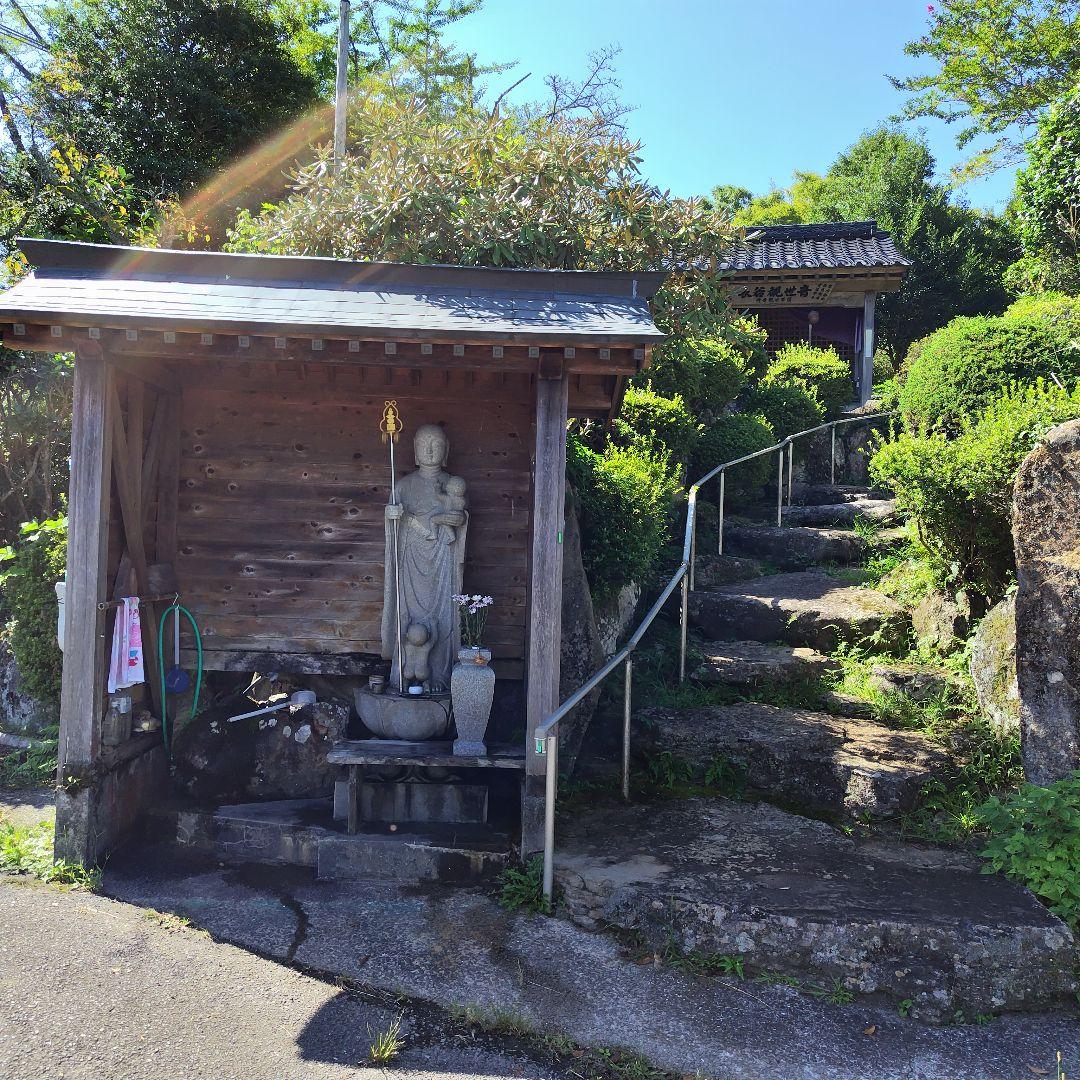 限定 標高600m一番湧水で育った農薬不使用 玄米2025年大分県産直送30kg