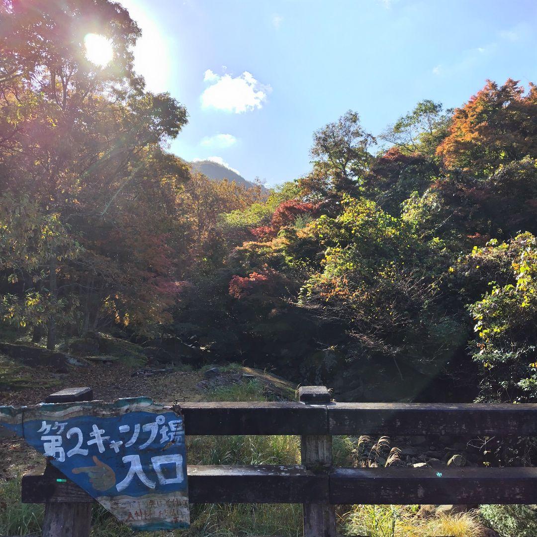 限定 標高600m一番湧水で育った農薬不使用 玄米2025年大分県産直送30kg