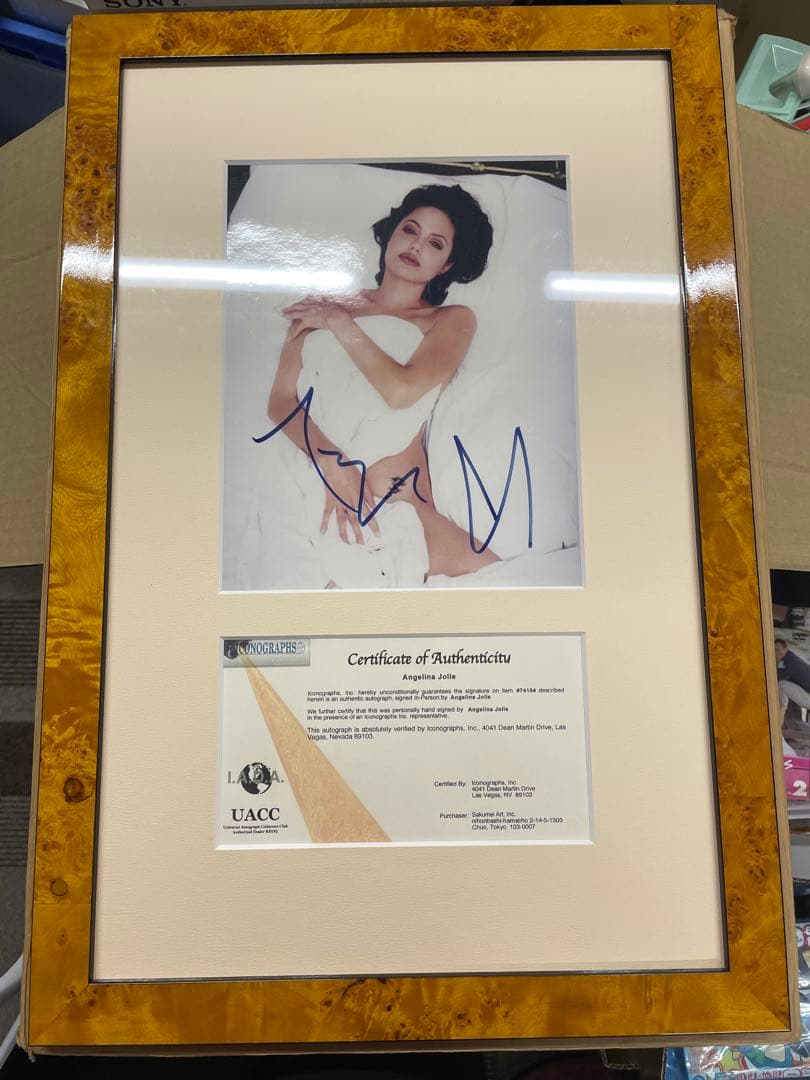 アンジェリーナジョリー　証明書付　サイン　オートグラフ