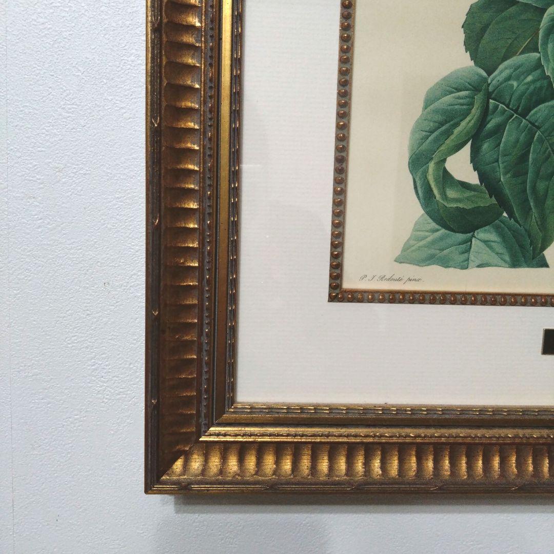 ② ルドゥーテ 絵額 レ ローズ バラ図譜 フォリオ判 ゴールドフレーム 額絵