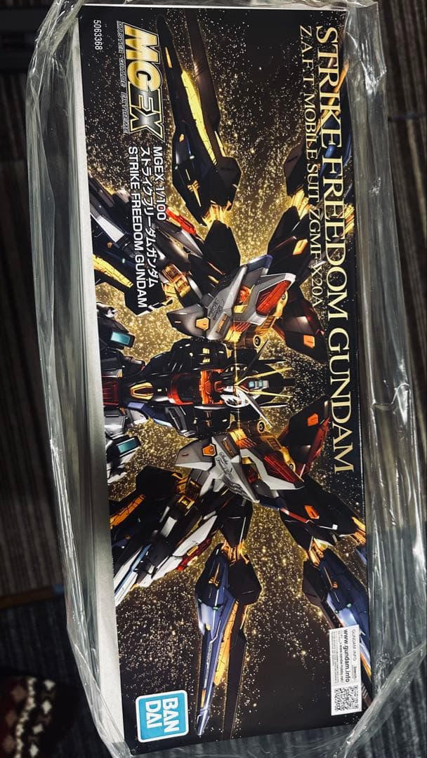 ストライクフリーダムMGEX＆デスティニーガンダムMG＆ライジングフリーダムHG