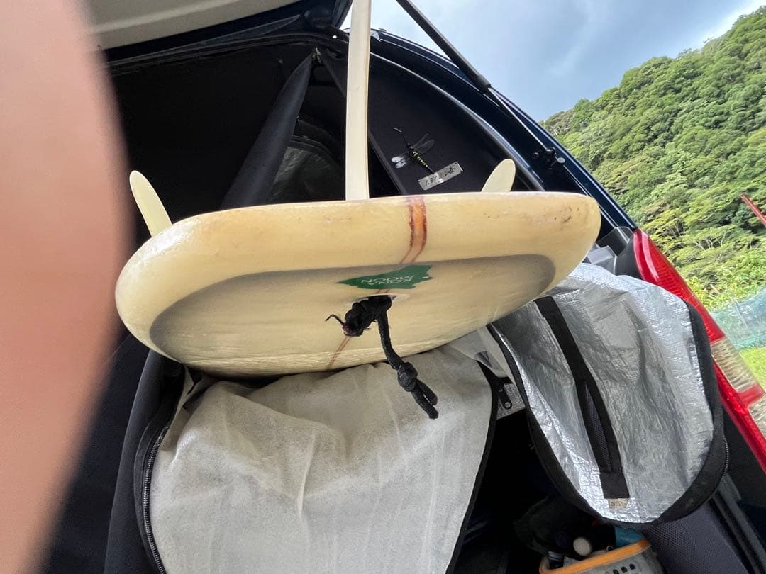 Hawaiian ファンボード 7'10\" コナウインド