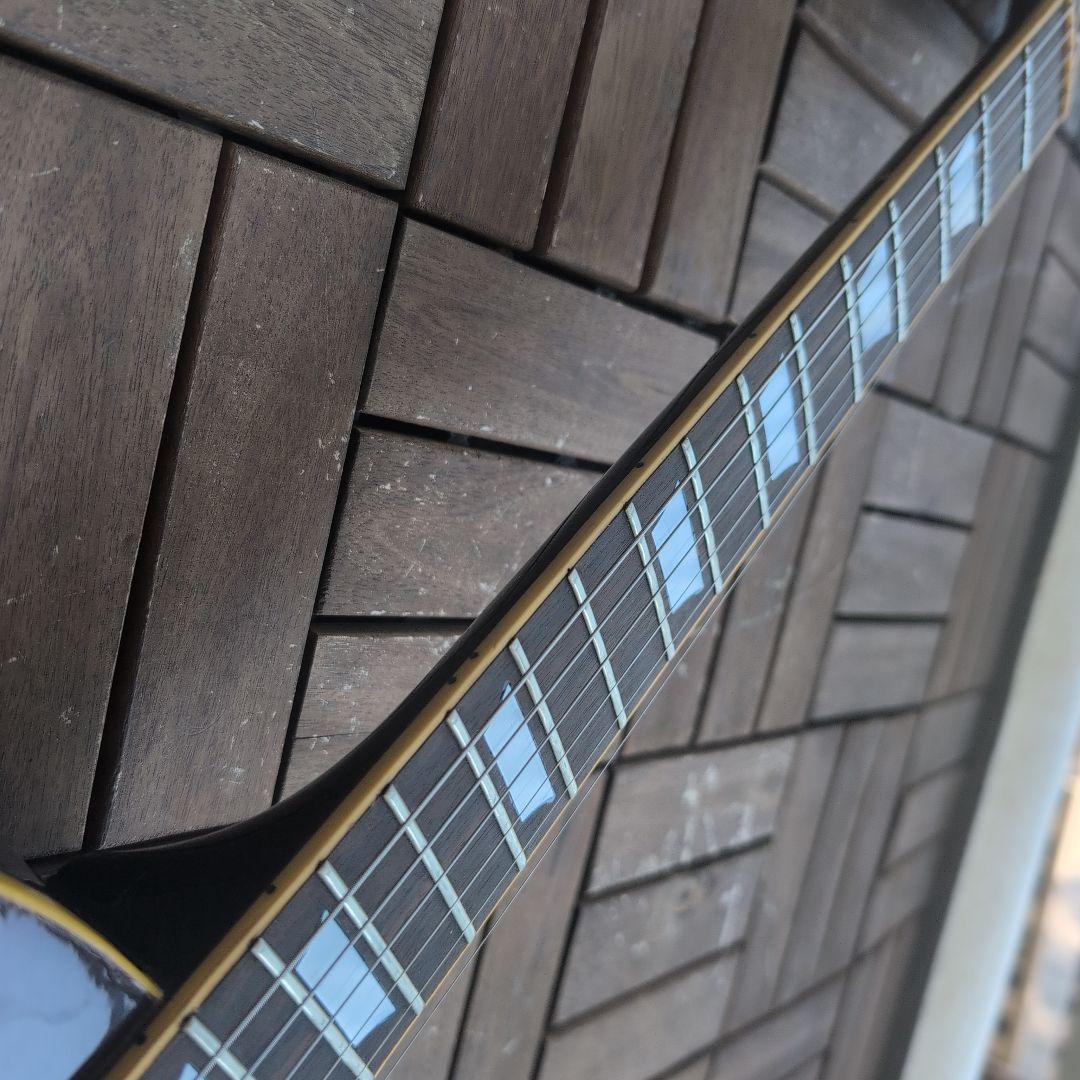 GRECO EG 77年 レスポール セミホローの虎目ボディ！