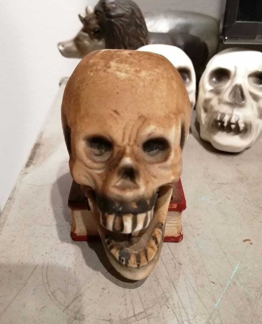 50s 　雰囲気　スカルオンブック　スカル　ドクロ　ビンテージ