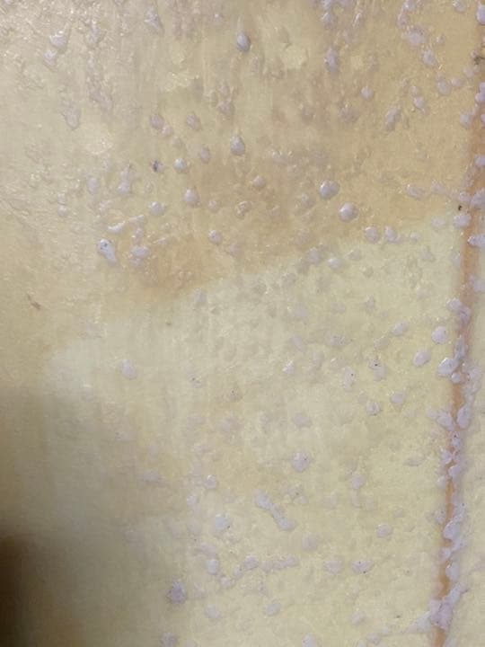 オールド　アルメリック　MTF ツインフィナー