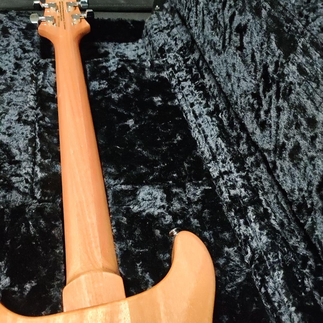 prs se santana 限定モデル